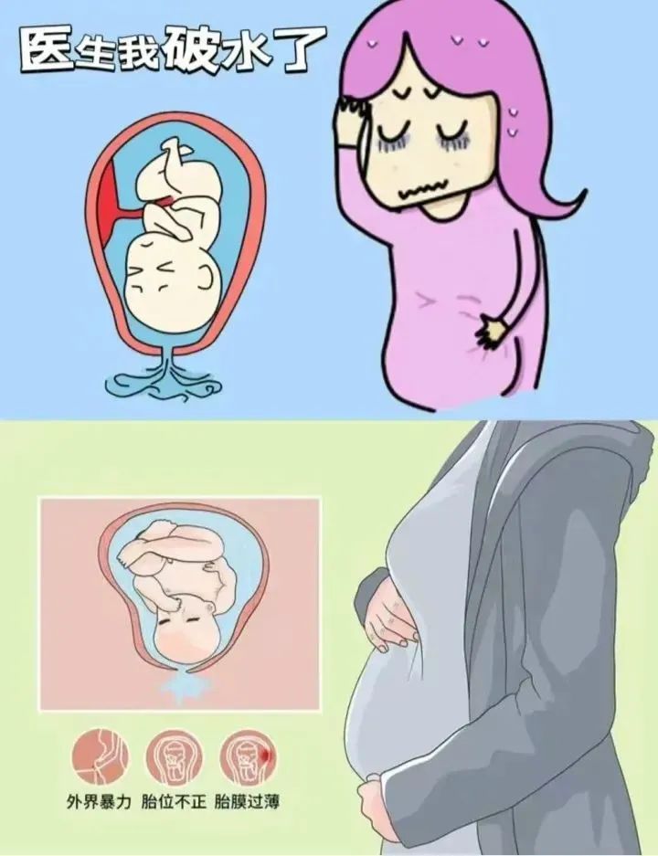 1745548860295428.jpg